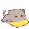 Mochis cat 11
