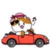 C̴A̴T̴S̴ ̴F̴R̴I̴E̴N̴D̴S̴ 3 11