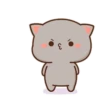 Mochis cat 13