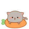 Mochis cat 14