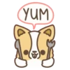 Corgi dog 14