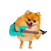 Feliz día del Músico 23