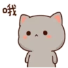 Mochis cat 16
