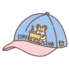Corgi dog 18