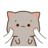 Mochis cat 19