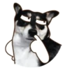 Husky divertido 23