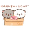 Mochis cat 24