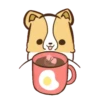 Corgi dog 23
