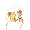Corgi dog 25