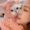 Gatos bebês 26