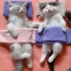 Gatos bebês 27