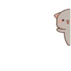 Mochis cat 27