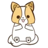 Corgi dog 26