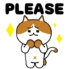 C̴A̴T̴S̴ ̴F̴R̴I̴E̴N̴D̴S̴ 3 19