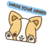 Corgi dog 28