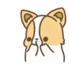 Corgi dog 30