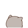 Mochis cat 30
