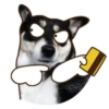 Husky divertido 24