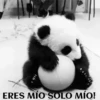 funny pets mov. 9