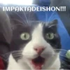 funny pets mov. 11