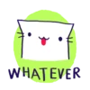 Gatito blanco simple Mov 9