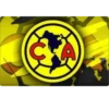 AMERICALOGOS 14