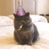 Feliz cumpleaños. Brilla y deja brillar 15