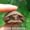 funny pets mov. 16