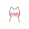 😸 Shy Cat 😸 15