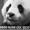 funny pets mov. 19