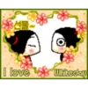 Pucca 1🇧🇷💕Mov❤️❤️ 16