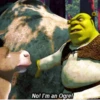 Shrek 7
