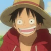 Monkey D. Luffy 8