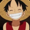 Monkey D. Luffy 9