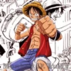 Monkey D. Luffy 10