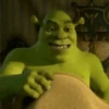 Shrek 15