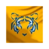 ️ TIGRES UANL.MOV 13