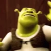 Shrek 17