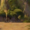 Shrek 20