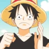 Monkey D. Luffy 15
