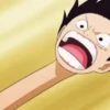 Monkey D. Luffy 16