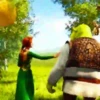 Shrek 22
