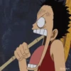 Monkey D. Luffy 22