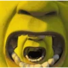 Shrek 27