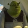 Shrek 29
