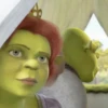 Shrek 30