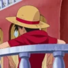 Monkey D. Luffy 28