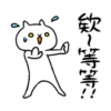 反應過激的貓7動態 24