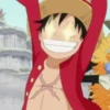 Monkey D. Luffy 29