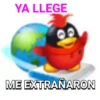Pingüinito 8